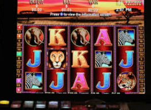 壹元娱乐官方网站电脑免费版